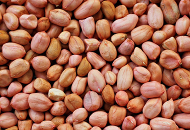 Groundnut