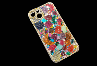 Mobile Case